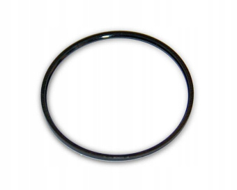 Кольцо уплотнительное SATA для головки дюзы jet 4000B ( 5шт.)